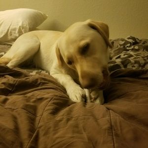 Meet your Posher, Ryan